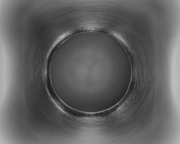 X0000086010630200704091056
