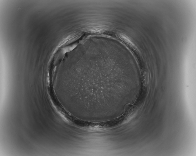 X0000086010634200704091056