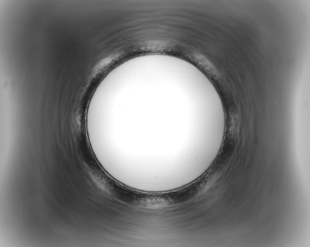 X0000086010636200704091056