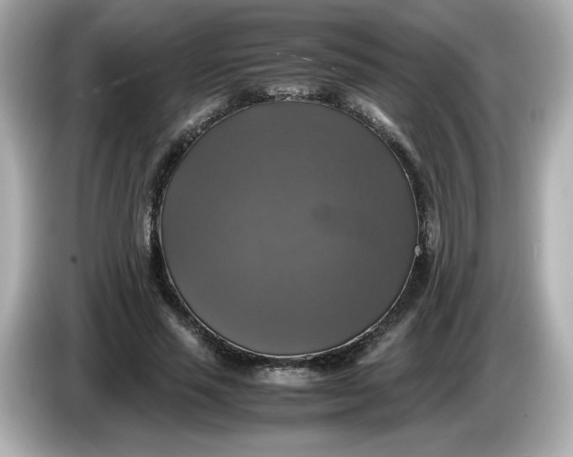 X0000086010637200704091056