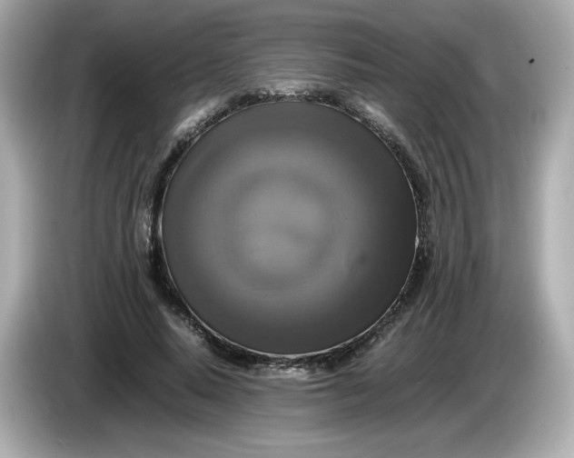 X0000086010640200704091056