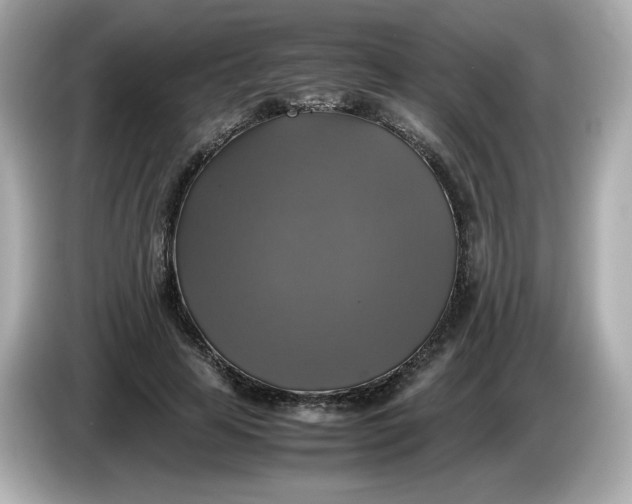 X0000086010641200704091056