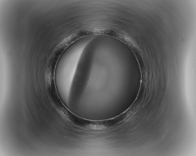 X0000086010644200704091056