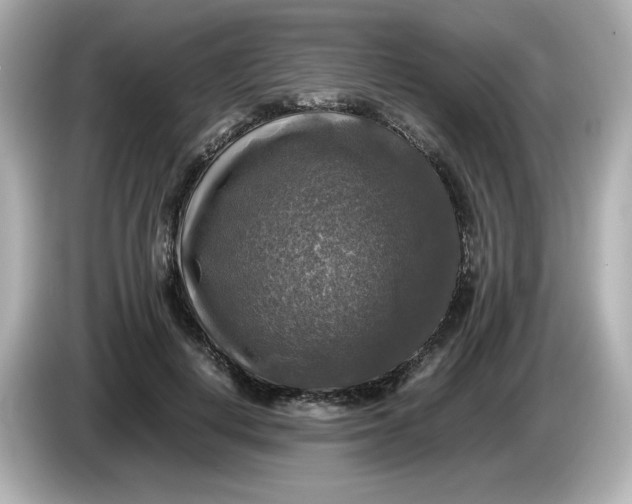 X0000086010648200704091056