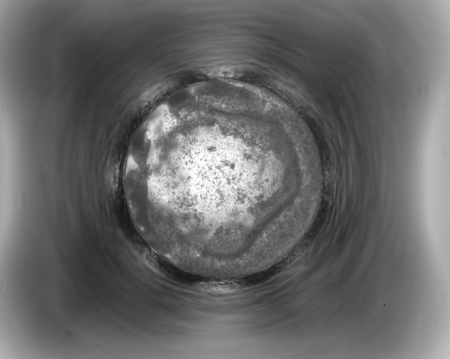 X0000086010652200704091056