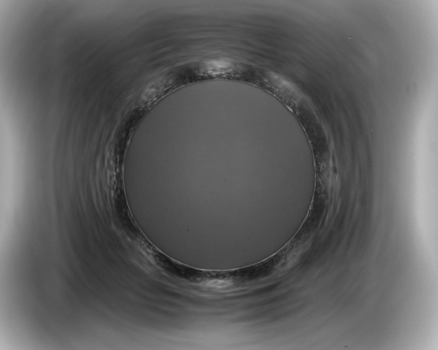 X0000086010653200704091056