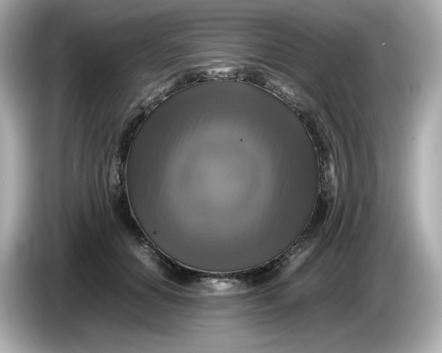 X0000086010654200704091056