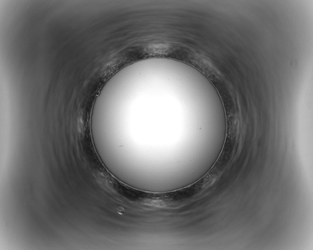 X0000086010655200704091056