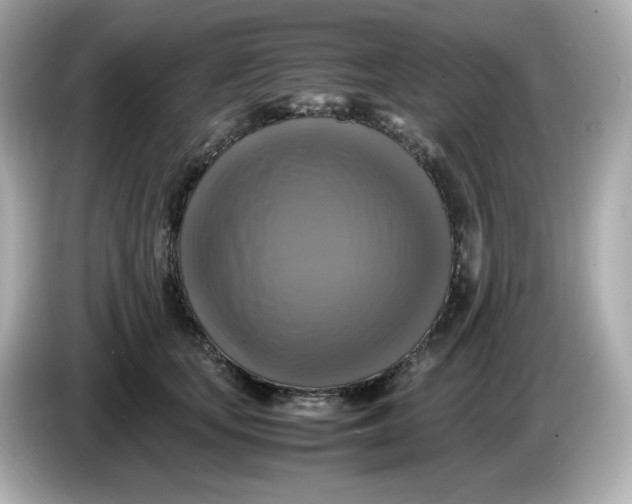 X0000086010659200704091056