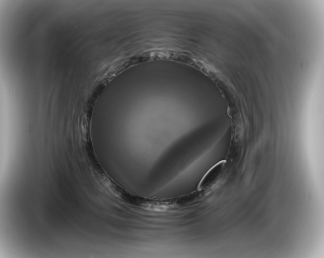 X0000086010661200704091056