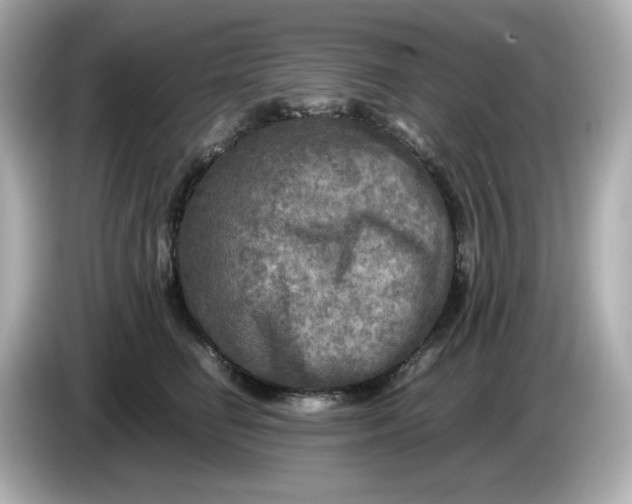 X0000086010662200704091056