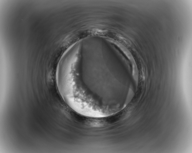 X0000086010663200704091056