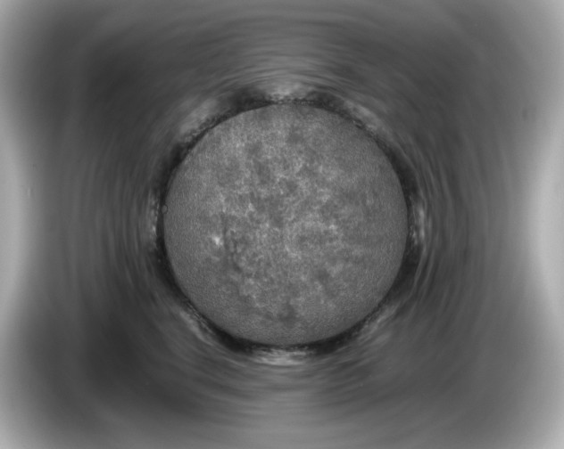X0000086010664200704091056
