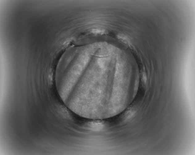 X0000086010668200704091056