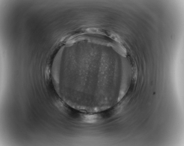 X0000086010669200704091056
