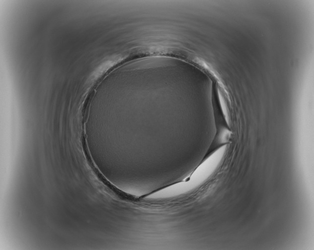 X0000086010673200704091056
