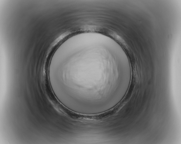 X0000086010674200704091056