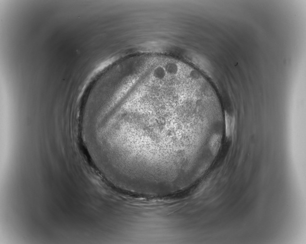 X0000086010675200704091056