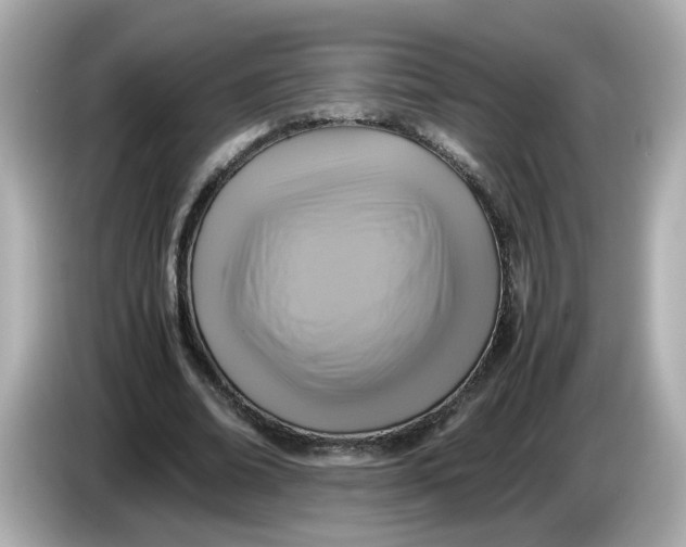 X0000086010678200704091056
