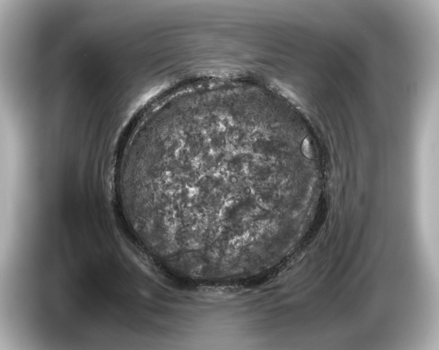 X0000086010679200704091056