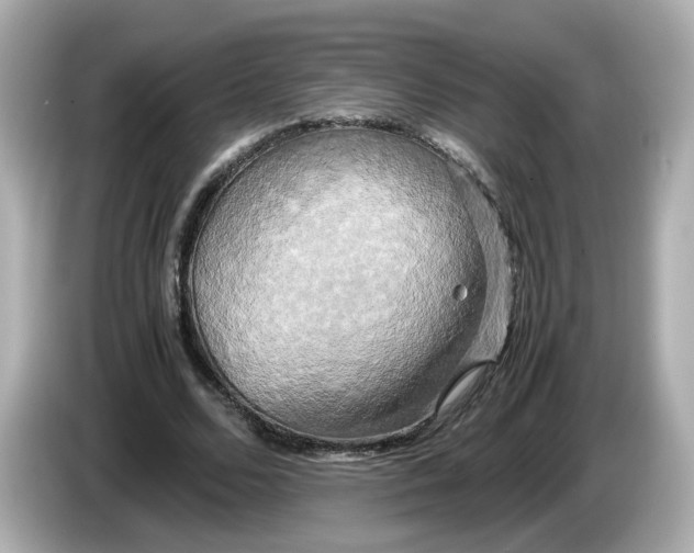 X0000086010680200704091056
