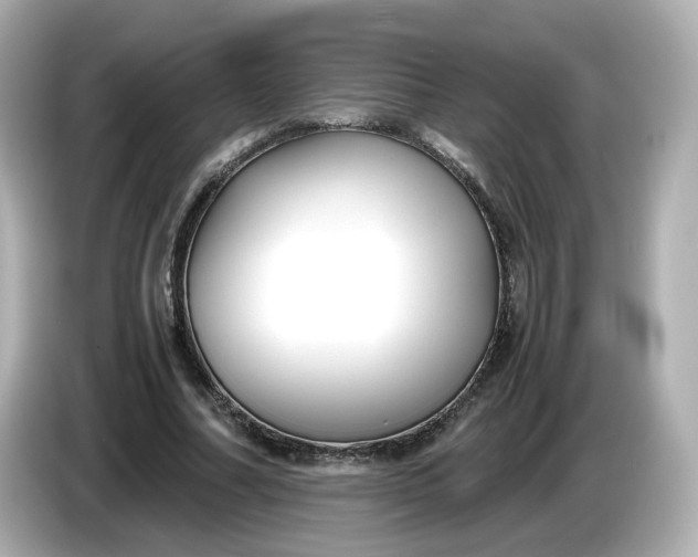 X0000086010682200704091056