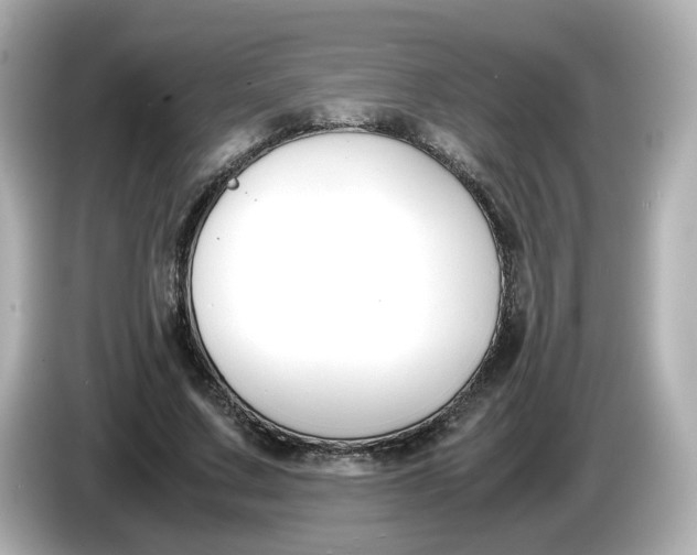 X0000086010683200704091056