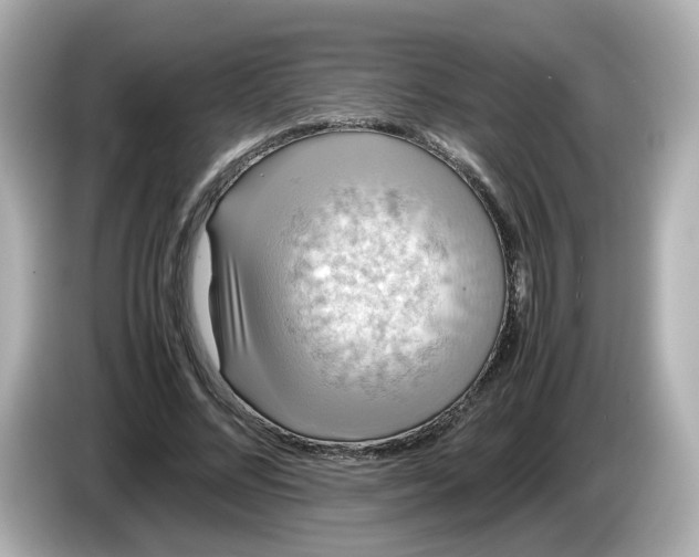 X0000086010684200704091056