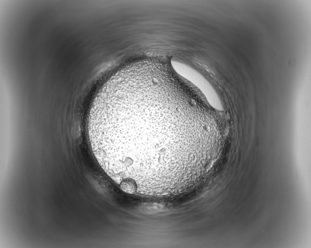 X0000086010687200704091056