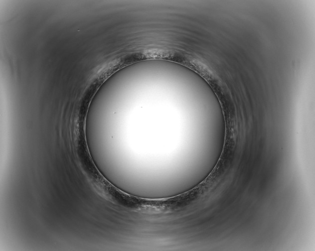 X0000086010690200704091056