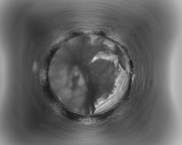 X0000086010691200704091056