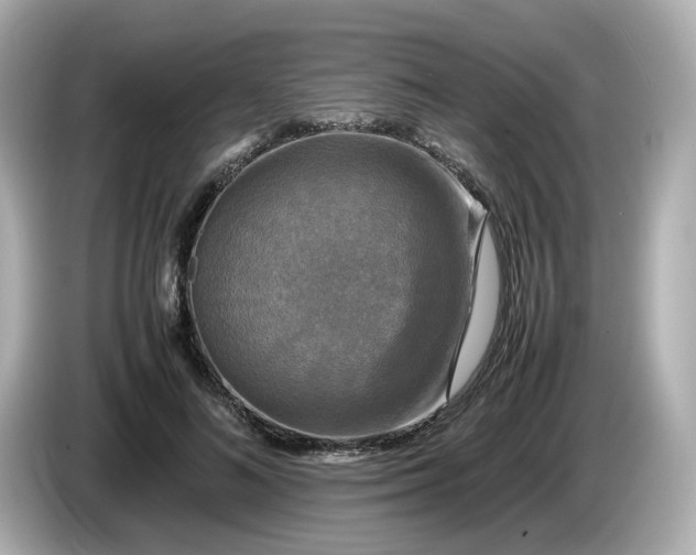 X0000086010692200704091056