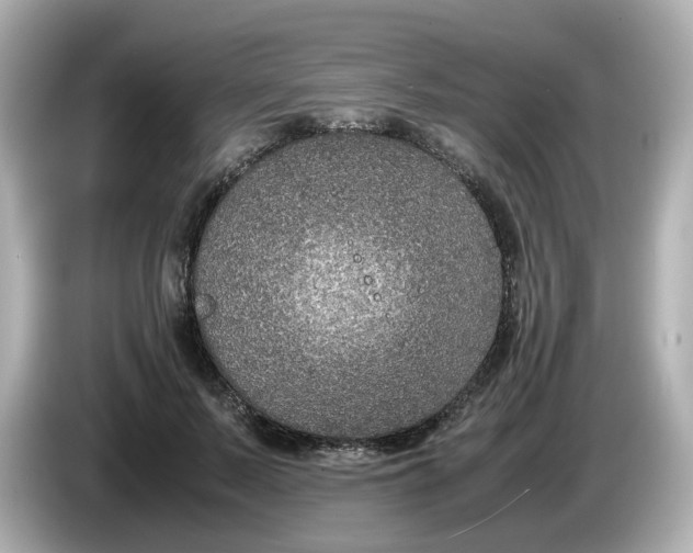 X0000086010695200704091056