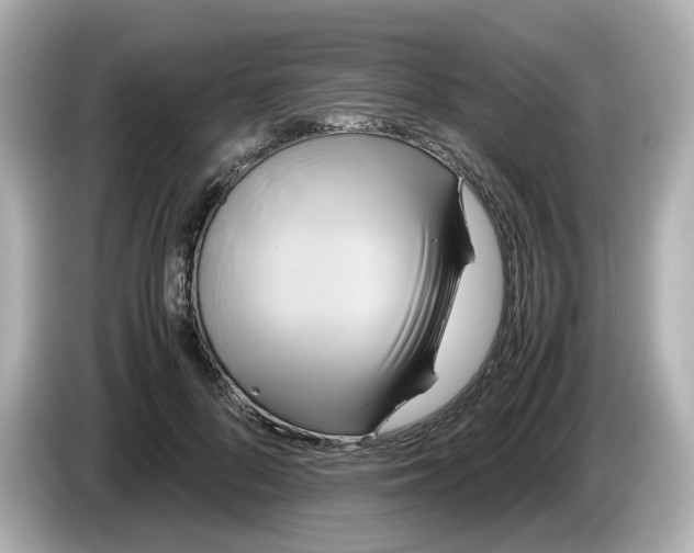 X0000086010696200704091056