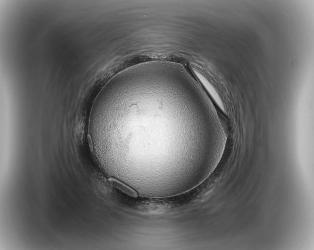 X0000086010697200704091056