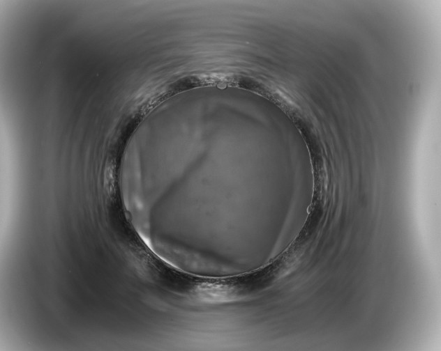 X0000086010699200704091056