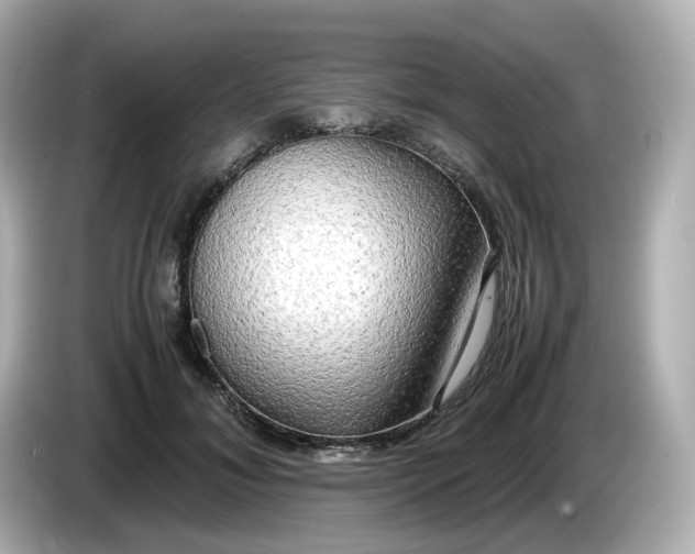 X0000086010700200704091056