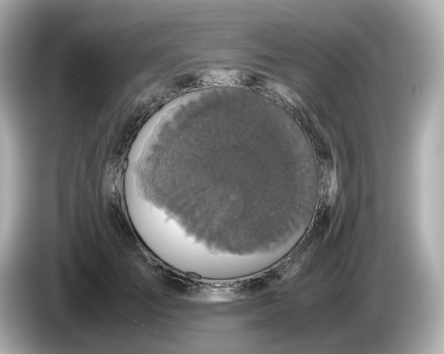 X0000086010701200704091056