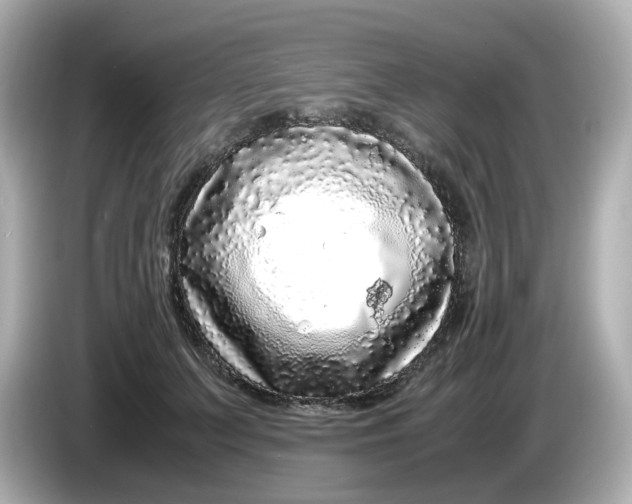 X0000086010703200704091056