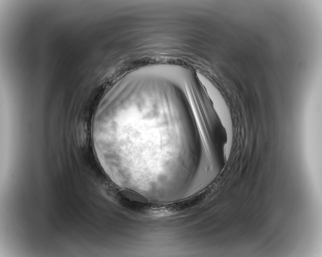 X0000086010704200704091056