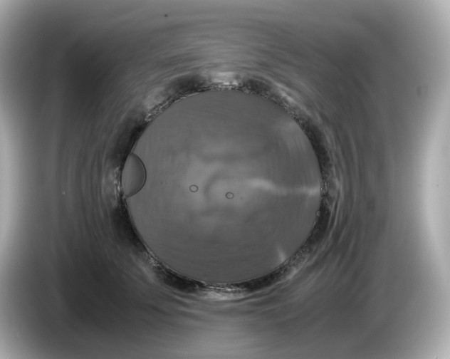 X0000086010707200704091055
