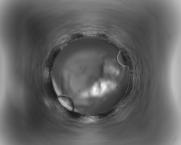 X0000086010711200704091055