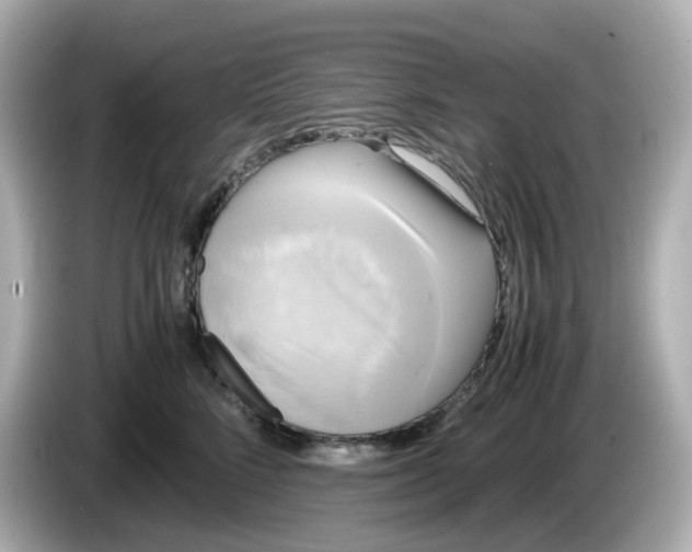 X0000086010712200704091055