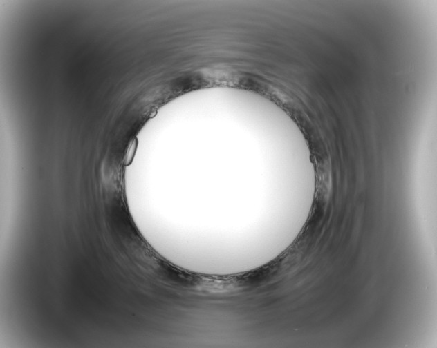 X0000086010713200704091055