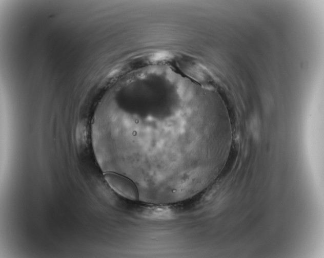 X0000086010715200704091055