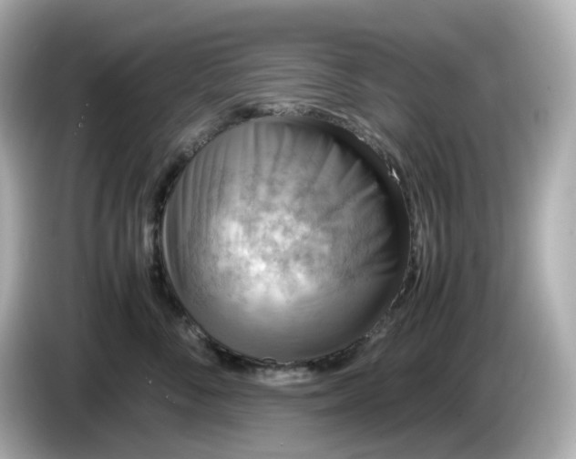 X0000086010716200704091055