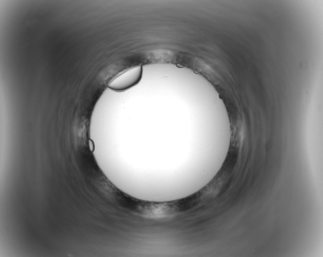 X0000086010717200704091055