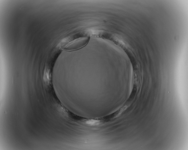X0000086010718200704091055