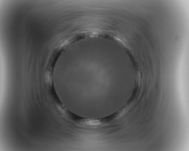 X0000086010719200704091055
