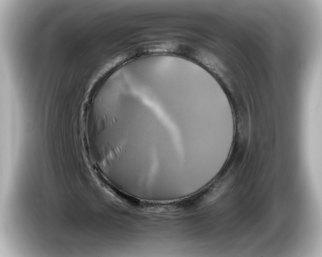 X0000086010721200704091055